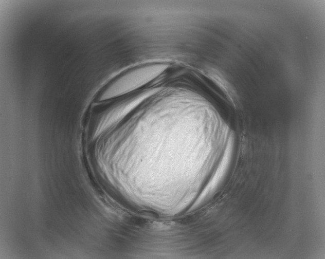 X0000070180346200606231952
