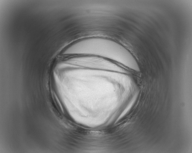 X0000070180347200606231952
