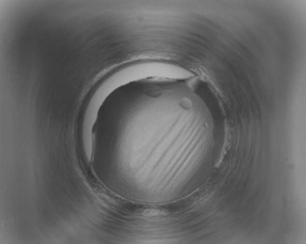 X0000070180348200606231952