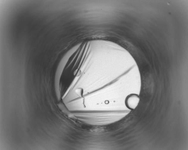 X0000070180362200606231953