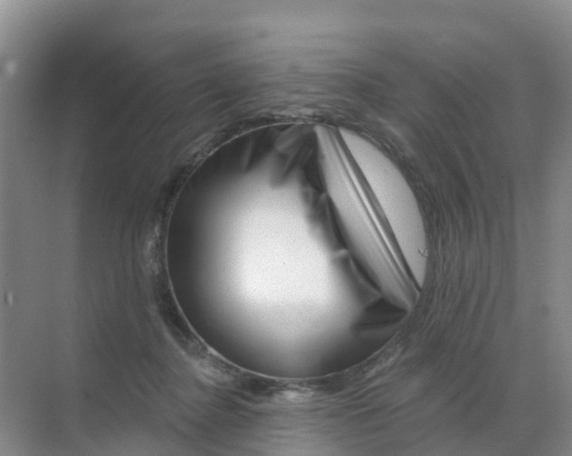 X0000070180364200606231953