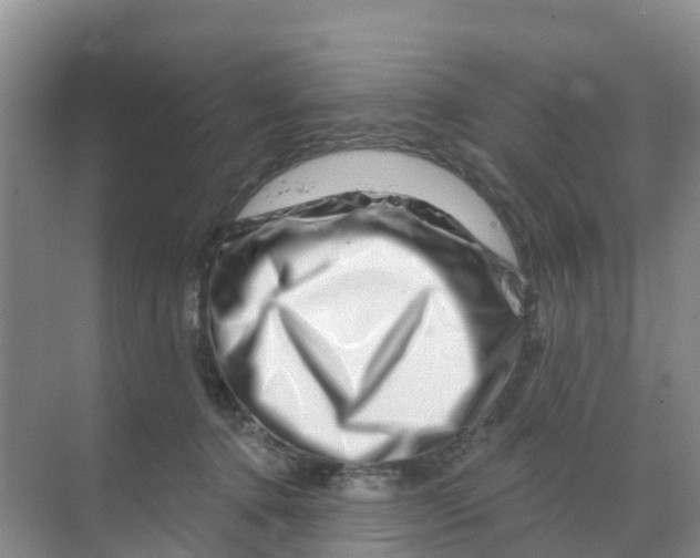 X0000070180368200606231953