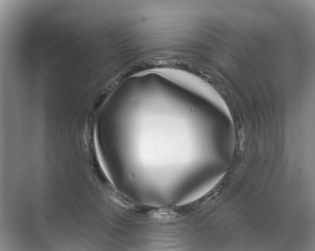 X0000070180372200606231953