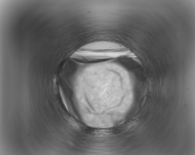 X0000070180378200606231953