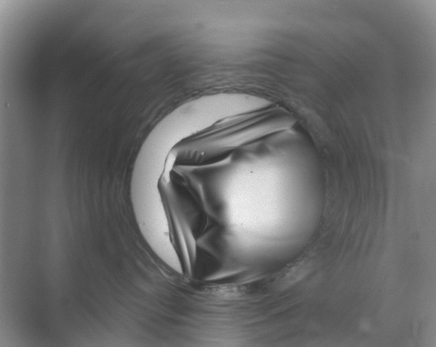 X0000070180384200606231953