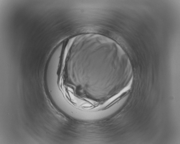 X0000070180386200606231952