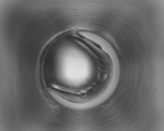 X0000070180388200606231952