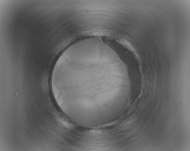 X0000070180394200606231952