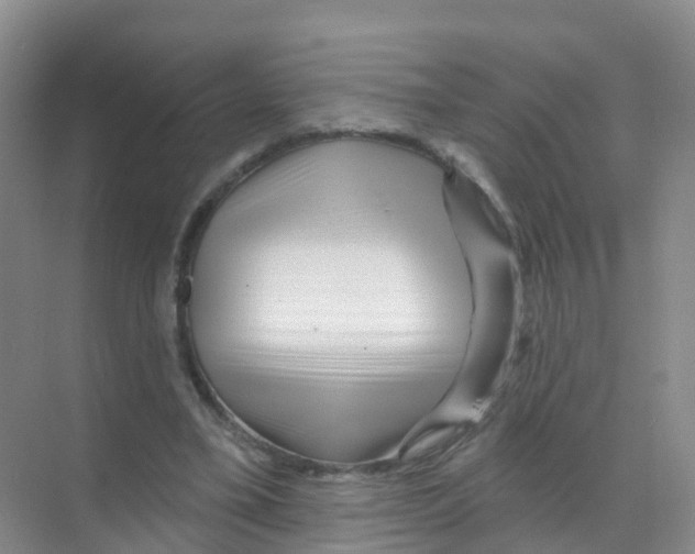 X0000070180395200606231952