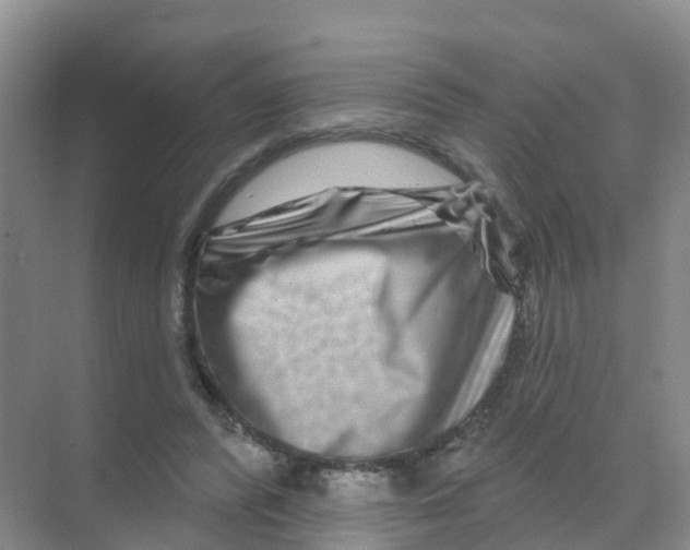 X0000070180400200606231952