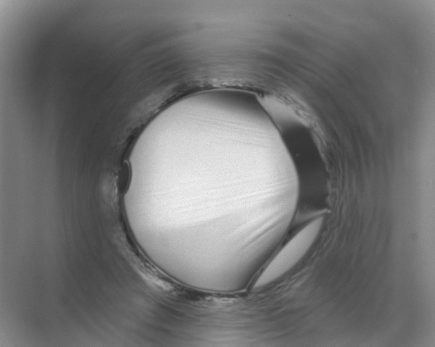 X0000070180401200606231952