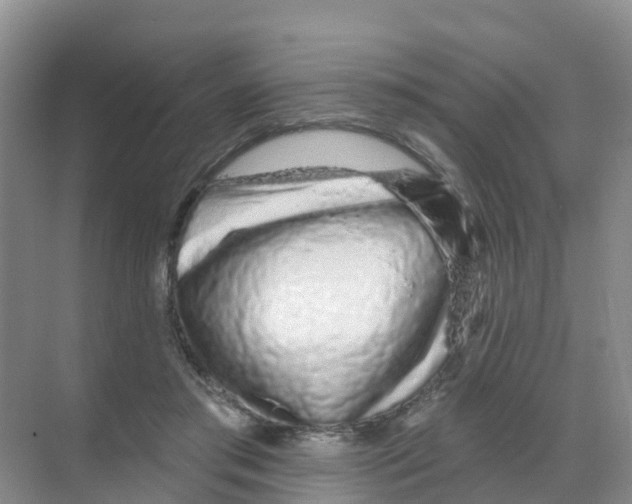 X0000070180405200606231952