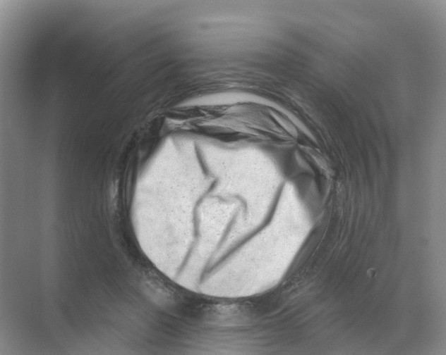 X0000070180406200606231952