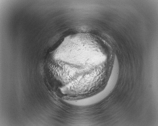 X0000070180409200606231952