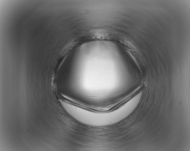 X0000070180417200606231952