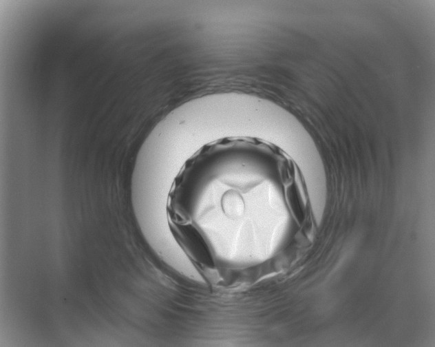 X0000070180424200606231951