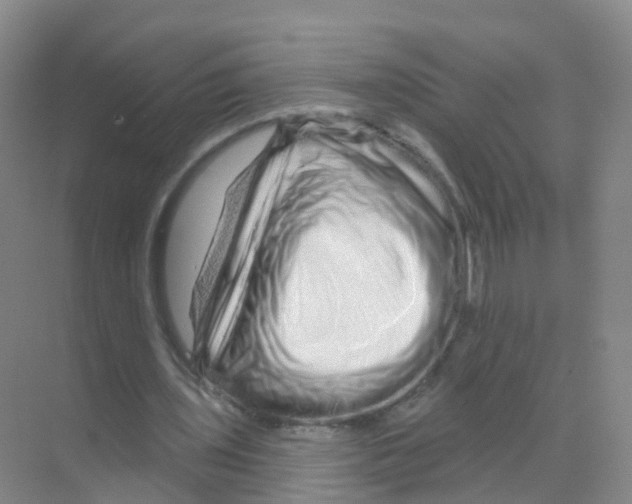 X0000070180435200606231951