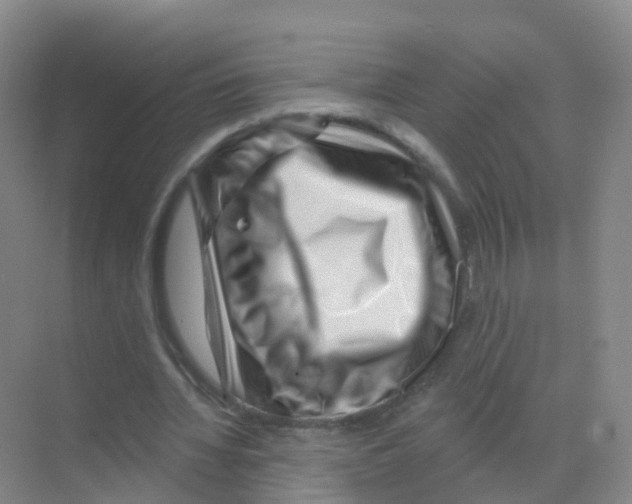 X0000070180436200606231951