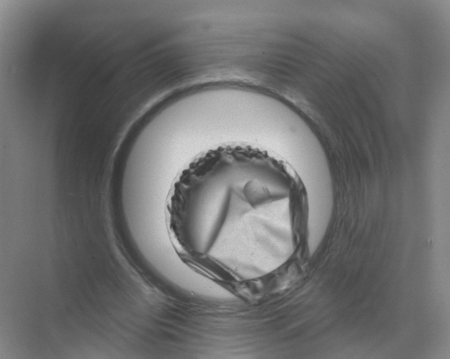 X0000070180440200606231951