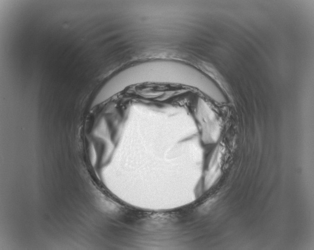 X0000070180441200606231951