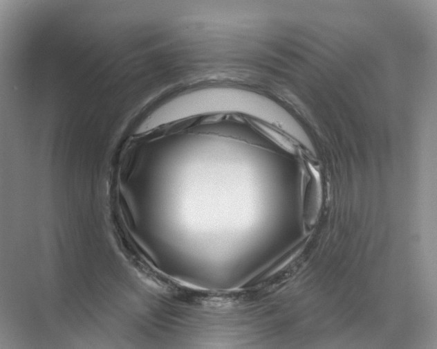 X0000070180444200606231951