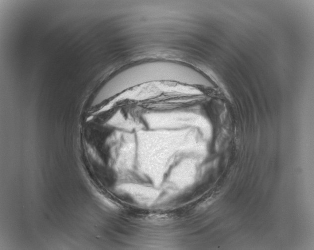 X0000070180445200606231951