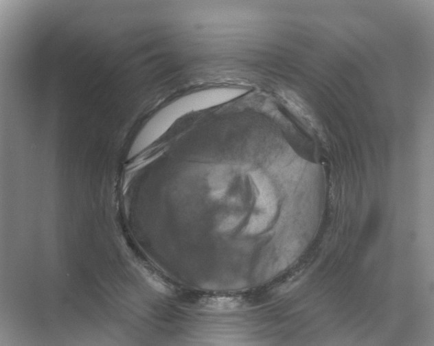 X0000070180449200606231951