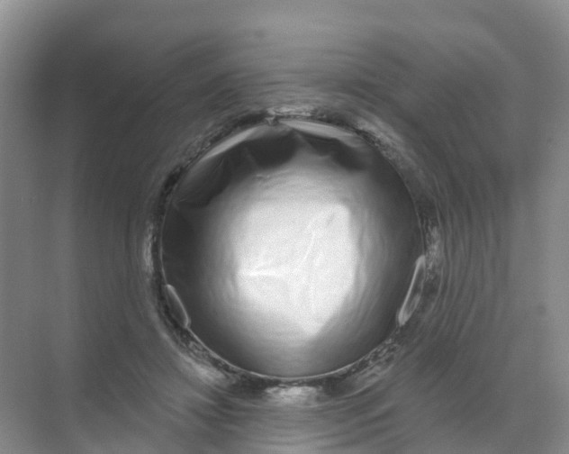 X0000070180452200606231951