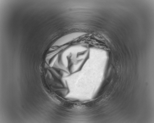 X0000070180455200606231951