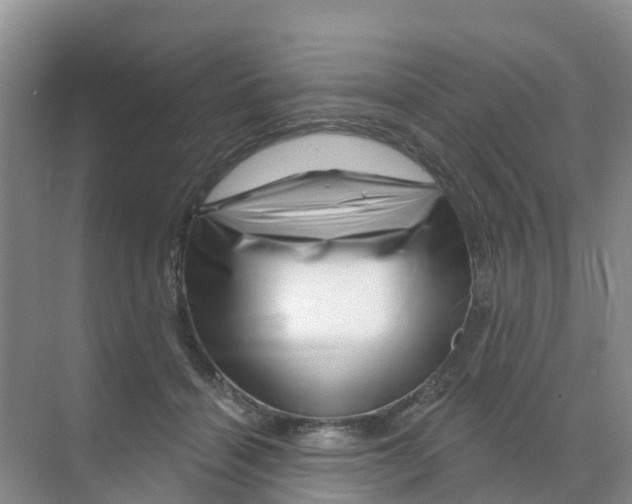 X0000070180460200606231951