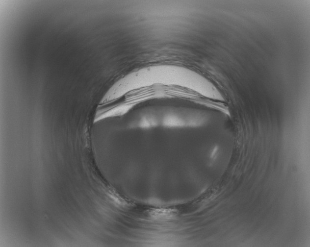 X0000070180465200606231951