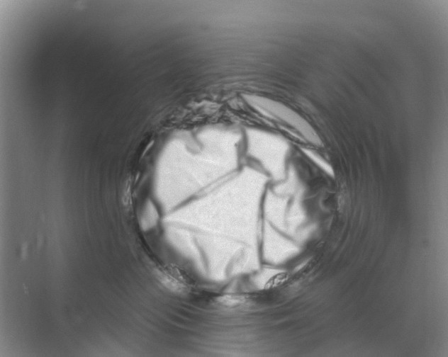 X0000070180477200606231951