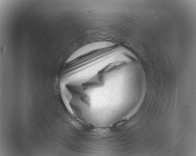 X0000070180480200606231951