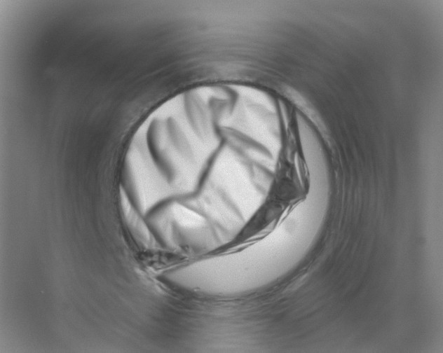 X0000070180481200606231951