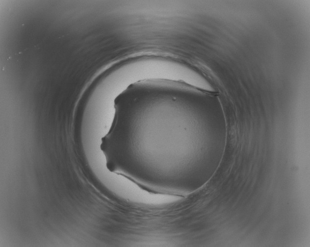 X0000070180484200606231950