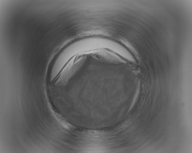 X0000070180486200606231950