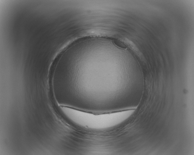 X0000070180488200606231950
