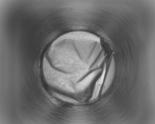 X0000070180490200606231950