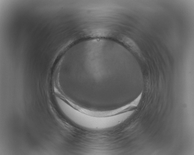 X0000070180491200606231950