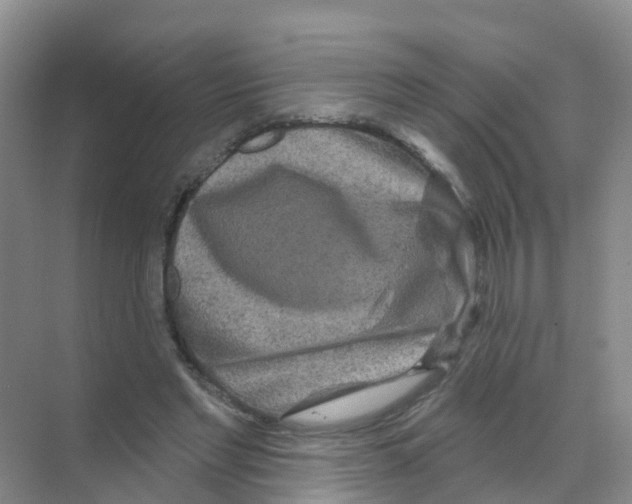 X0000070180493200606231950