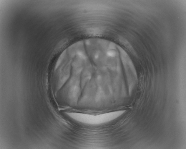 X0000070180494200606231950