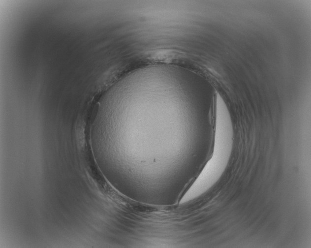 X0000070180504200606231950