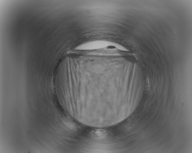 X0000070180506200606231950