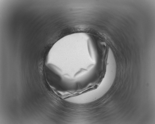 X0000070180509200606231950