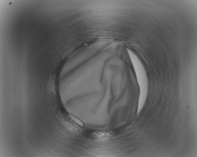 X0000070180512200606231950
