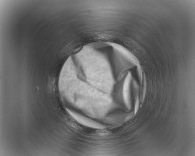 X0000070180514200606231950
