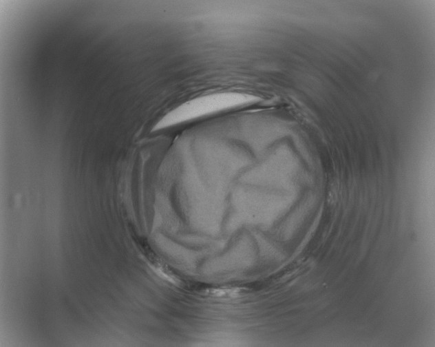 X0000070180524200606231950