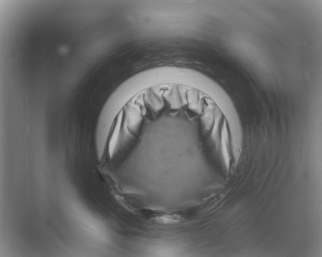 X0000070180525200606231950