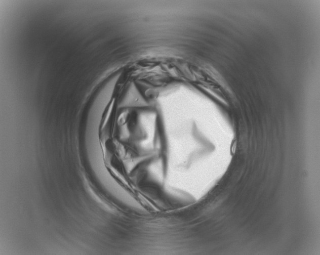 X0000070180530200606231949