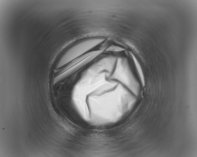 X0000070180535200606231949